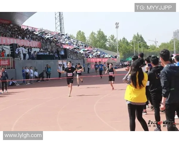 聚焦网球：探索杭州网球队在竞技与团结中的力量与精神