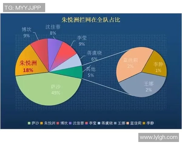 南京排球队力量表现的数据分析与战术优化研究 南京排球队力量表现的数据分析与战术优化研究