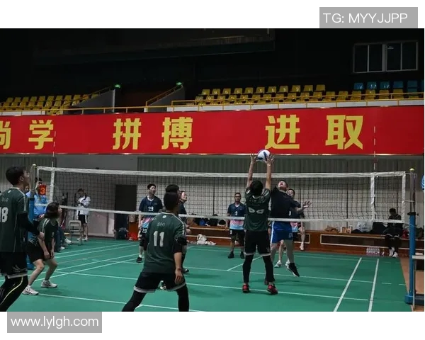 成都排球队跻身全国排球技术排行榜第十名展现实力与潜力