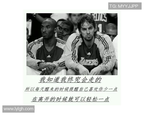 李强的篮球人生深度对话：从球场到人生的启示与成长之路