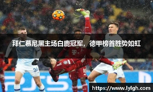 万博max中国官方网站